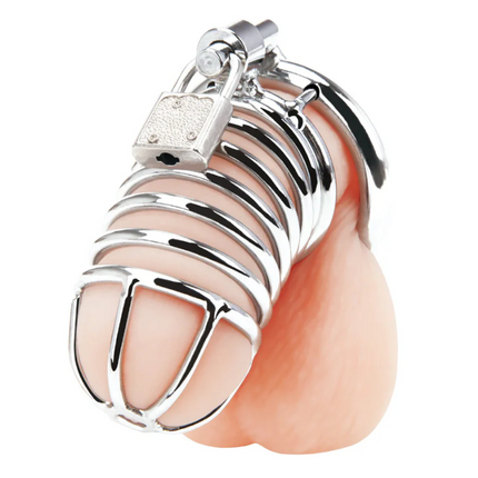 Blue Line Deluxe Chastity Cage Silver